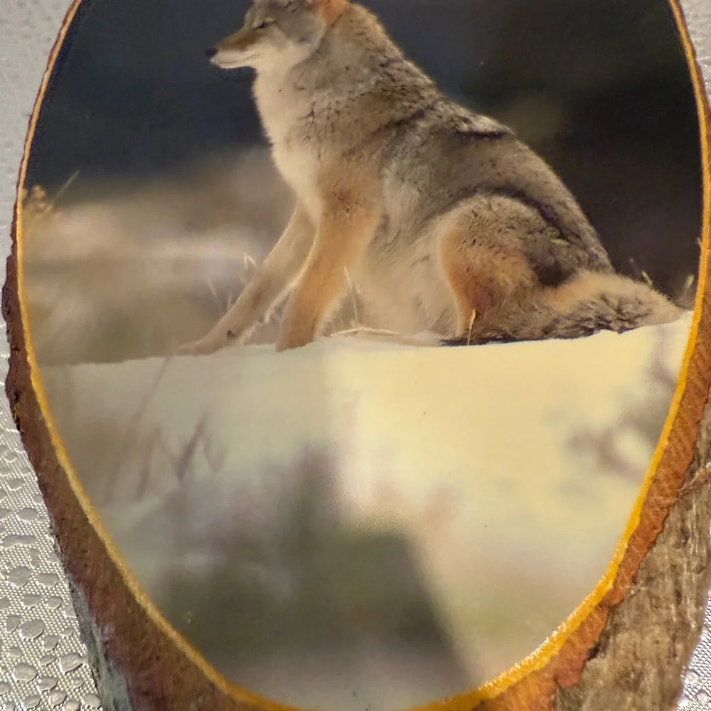 Rustic Wolf Wall Art on Wood Slice